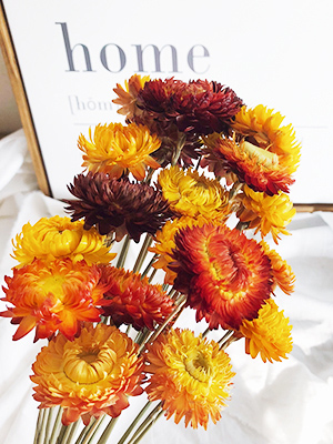  Jtoder Dried Daisy Flowers Bouquet, 200+ Real Dry