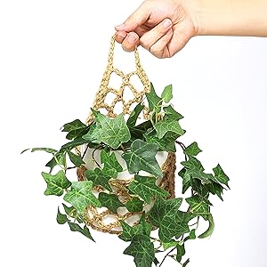 wall planter