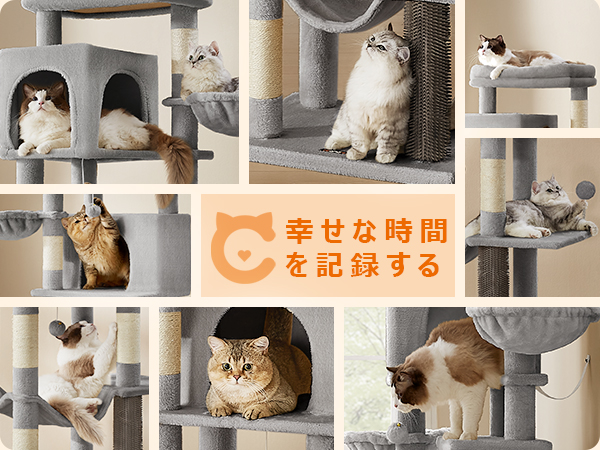 Amazon | FEANDREA キャットタワー 猫タワー スリム 大型猫用