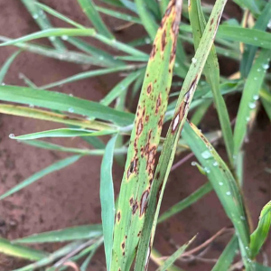 Small manufacture image 2