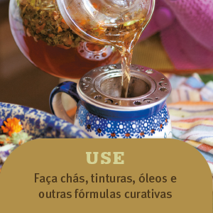 Alívio de sintomas, Aloe, Benefícios para a saúde, Chá para digestão, Chá para dormir, Colheita