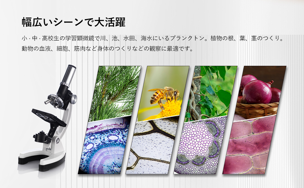 Akeyda 顕微鏡 100倍 600倍 1200倍 透過光/反射光 子供 初心者 小学生 生物標本 実体 花粉 宝石 子供用 自由研究用 学校 学習用 スマホ 撮影 高倍率 観察用具付属 