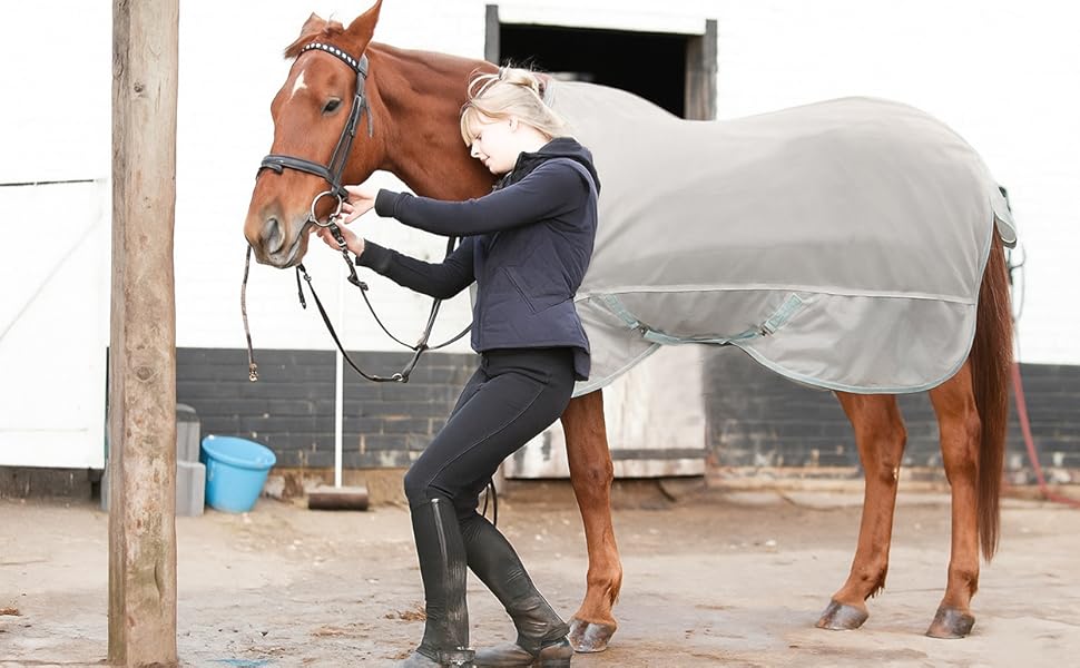 horse fly blanket