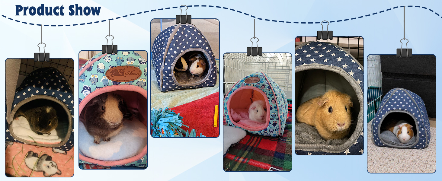 3 guinea pig house