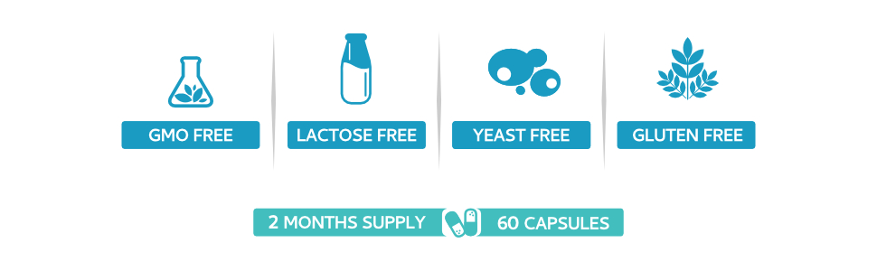 Swiss BioEnergetics PQQ Max USA - D