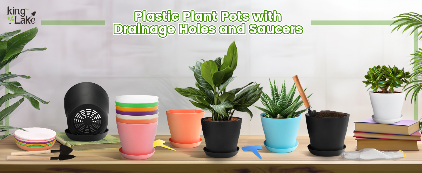small plastic plant pots 10cm