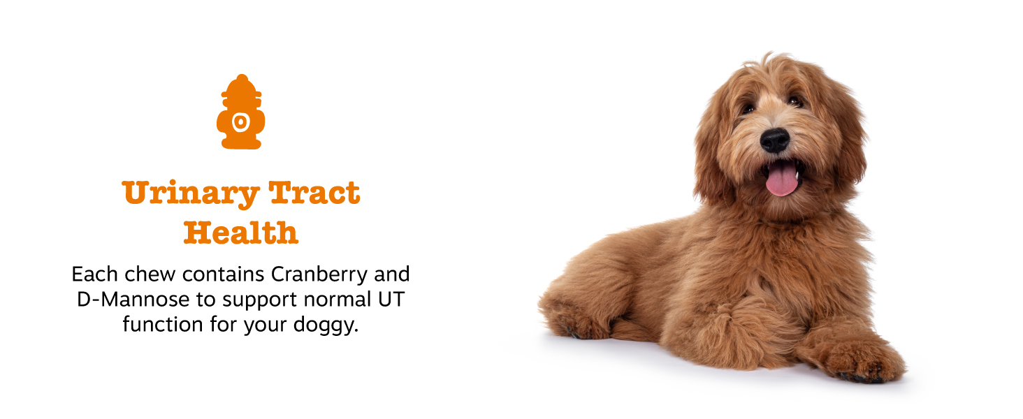 Urinary Tract Health