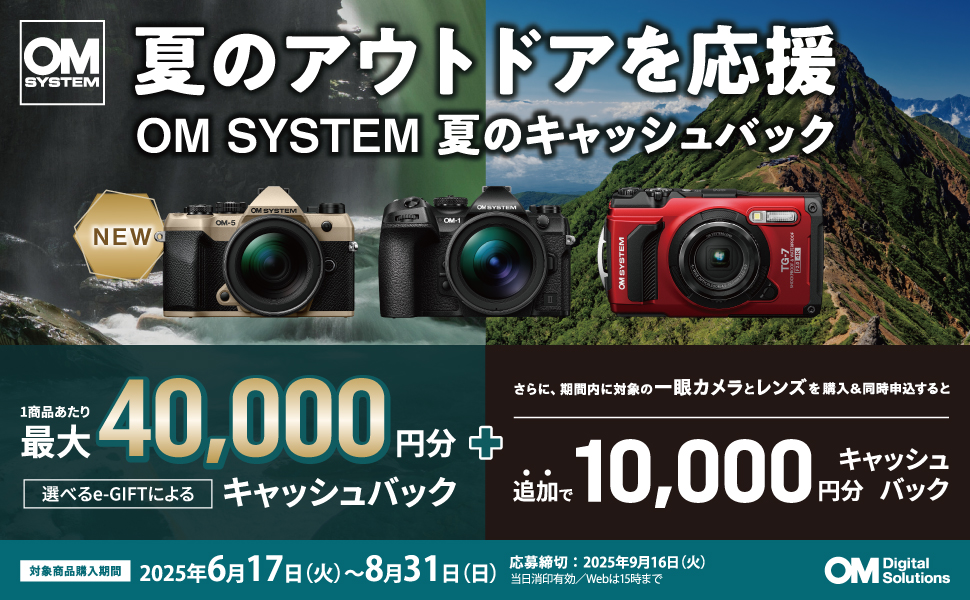 OLYMPUS レンズ5点セット OM SYSTEM OM-5 ボディ シルバー +望遠ズームレンズセット M