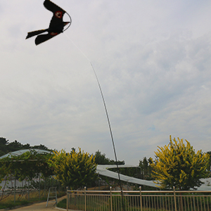 Cerf-Volant Anti-Oiseaux - Épouvantail à Oiseaux Extensible - Dragon Faucon Volant - Pour Oiseaux Pour Jardin Et Ferme 16