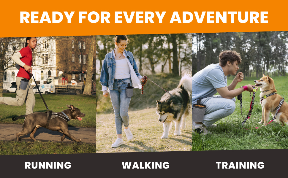 Treat Pouch for Dog easy training