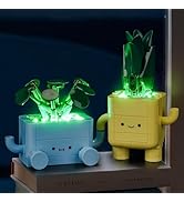 BRICKSHINING LED Lighting Compatible with Lego 10349 Botanicals Happy Plants, Light Kit Compatibl...