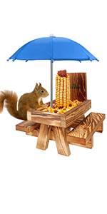squirrel feeder