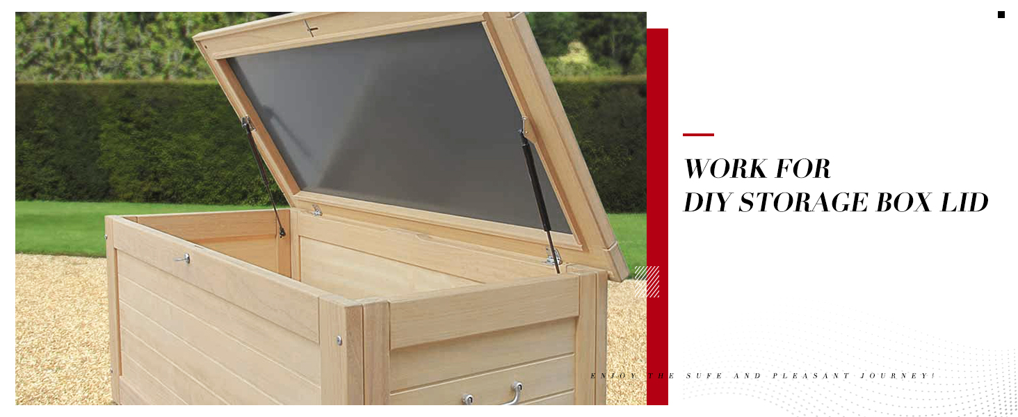 Vepagoo SX100P10 10 inch 10 Lb/45N Gas Shock Spring Strut