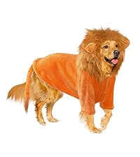 Dog Lion Costume