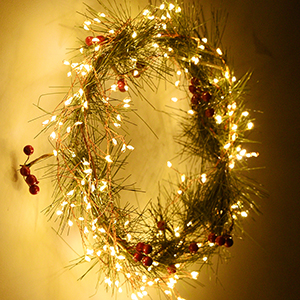 led fairy lights Fairy Lights