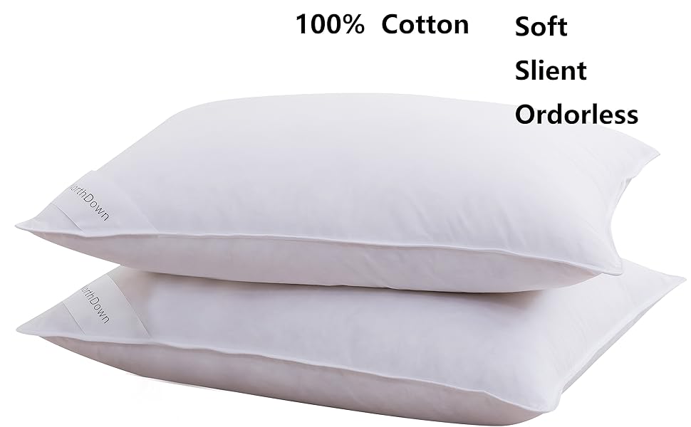 ｆｅａｔｈｅｒ　ｐｉｌｌｏｗ