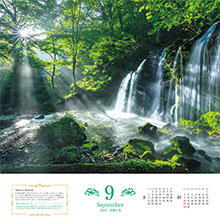 ユミリーの 幸せを呼ぶ風景 Calendar 22 インプレスカレンダー22 直居由美里 本 通販 ユミリーの 幸せを呼ぶ風景 Calendar 22 インプレスカレンダー22 直居由美里 本 通販