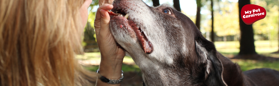 My pet carnivore raw pet treats
