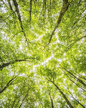 ISO 14001 zertifiziert