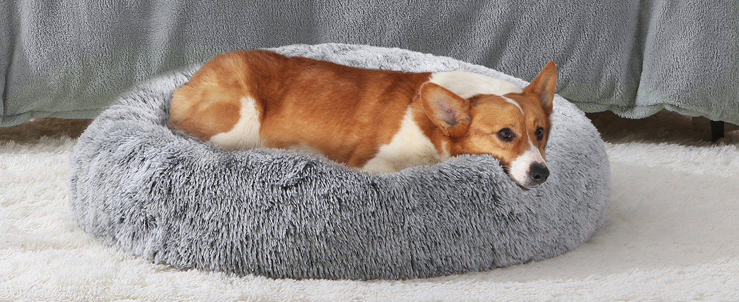small dog bed