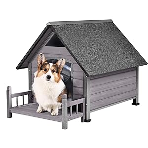 Dog house