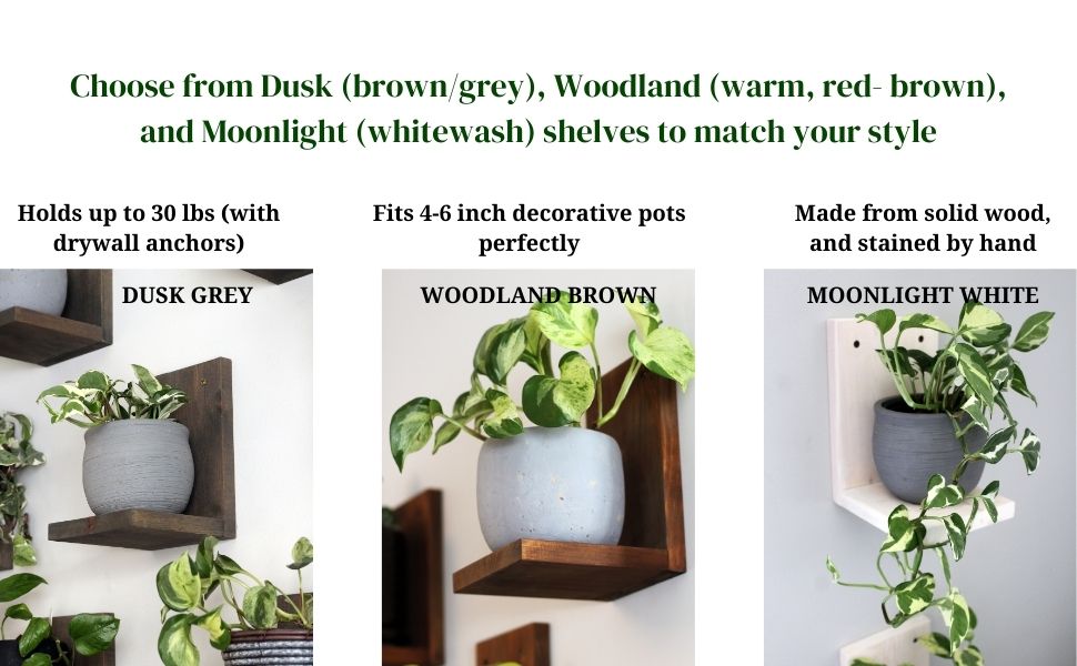 Daniel's Plants Midcentury Modern Gallery Wall Plant Shelf Pack of 3 Wooden Shelves L Shaped