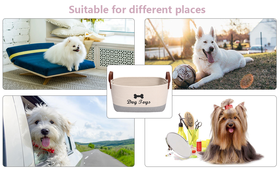 basket for dog toys living room