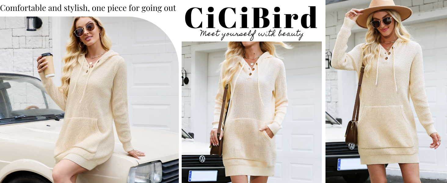 CiCiBird Women Fall Sweater Dress Knit V Neck Pullover Casual Long Sleeve Pullover Short Dresses