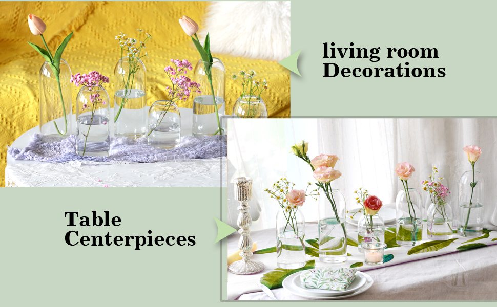 Etolies Glass Bud Vases in Bulk Set of 1... 17 glass bud vases set of 12