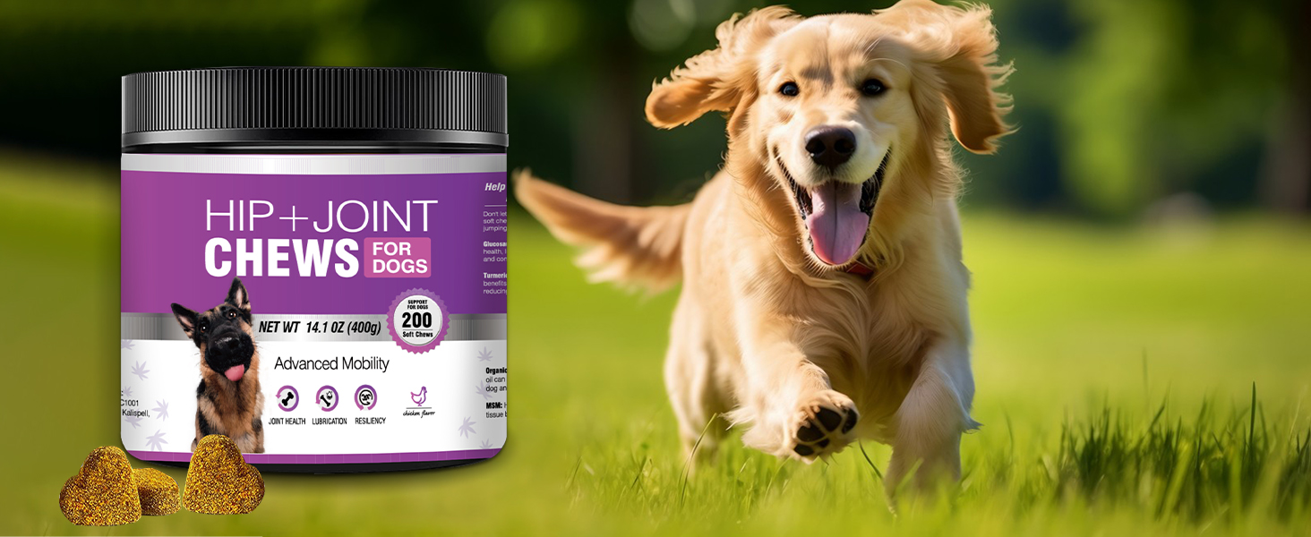 joint supplements for dogs