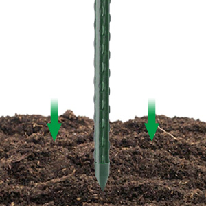Cucumber Trellis