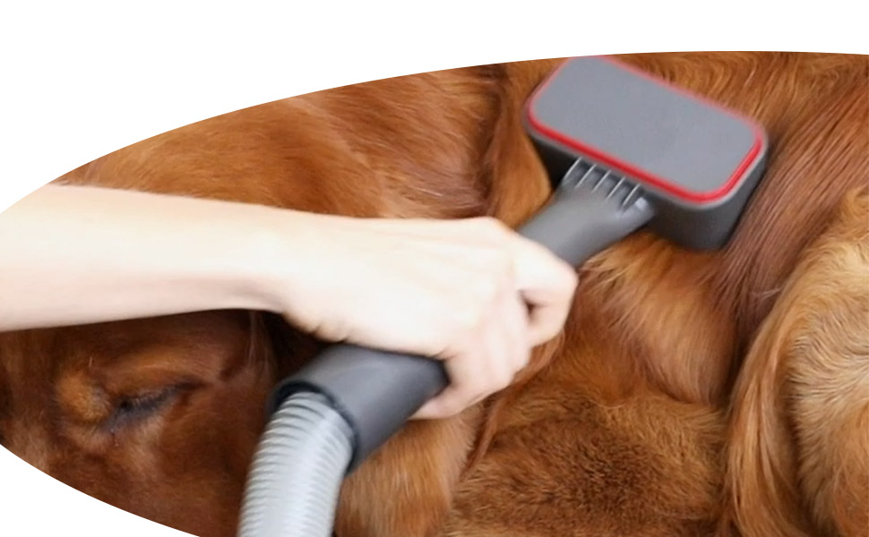 OPODEE Upgraded Dog Brush Kit, Replacement Dyson Grooming