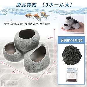 3万円で購入★石の化石★熱帯魚の水槽に★大きな石 楽天市場】【保証付き】水槽の石 3kg サイズミックス