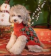 dog christmas sweater