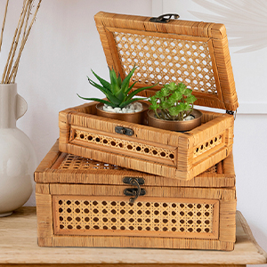 mall rectangular decorated star frame glasses fare covo chinoiserie serena lily dupes trunk chest 