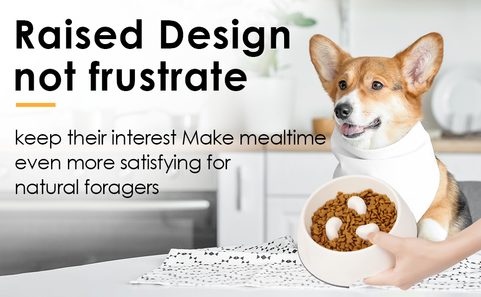 Super Design Dog Cat Slow Feeder Bowl Slow Eating Bowl