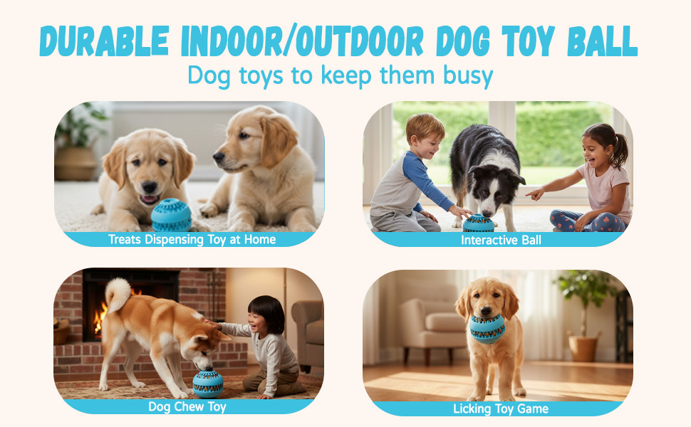 Durable Indoor/Outdoor Dog Toy Ball