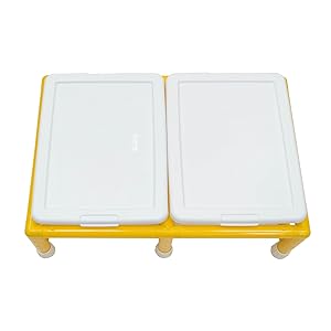 sensory, table, classroom, autism, toddler, kids, preschool, homeschool, playroom, learning, play