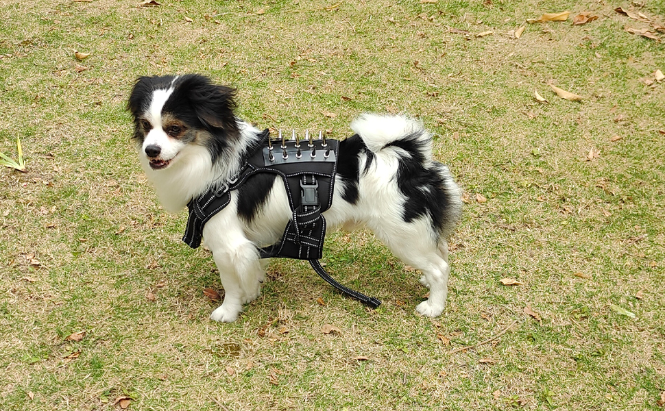 Tactical Dog Harness Reflective Puncture Resistant Pet Vest for Dogs Talon Proof