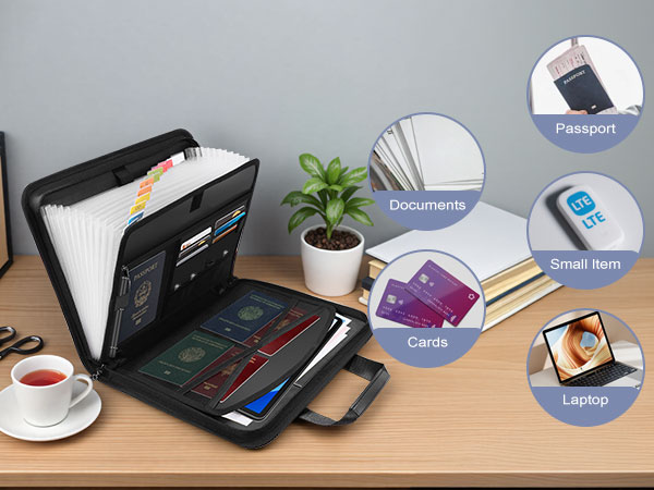 Amazon.com: Lulrsay Document Bag,Accordion File Organizer, 13