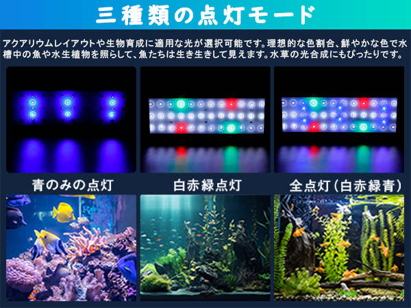 1200×45×45水槽　LEDライト、外部フィルターセット※8月3日記載変更 Amazon | 水槽 ライト 水槽用 照明 ledライト アクアリウム