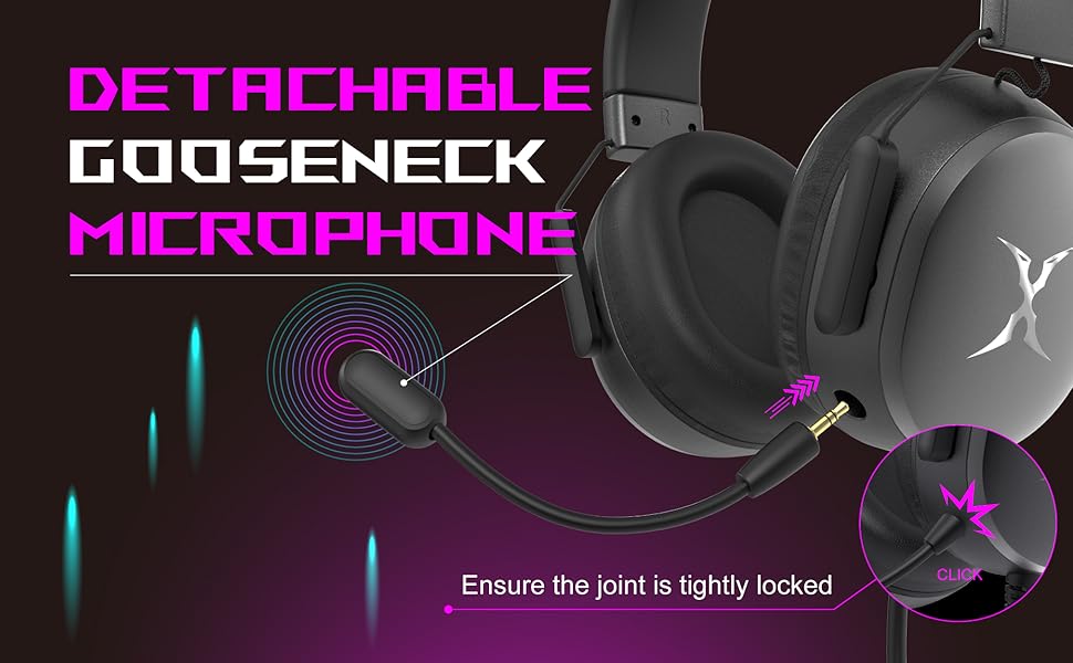 Detachable microphone