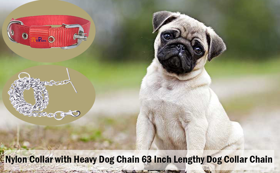 SPN-RECPP B09NZXJDPT