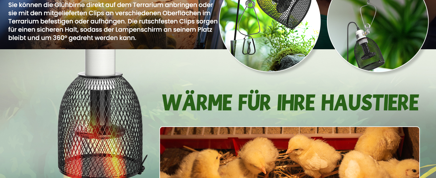 Aplus-Inhaltsbild