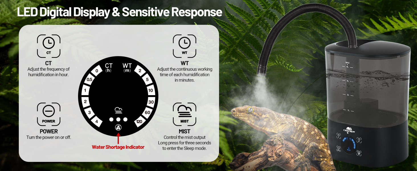 Terrarium Humidifier with Timer