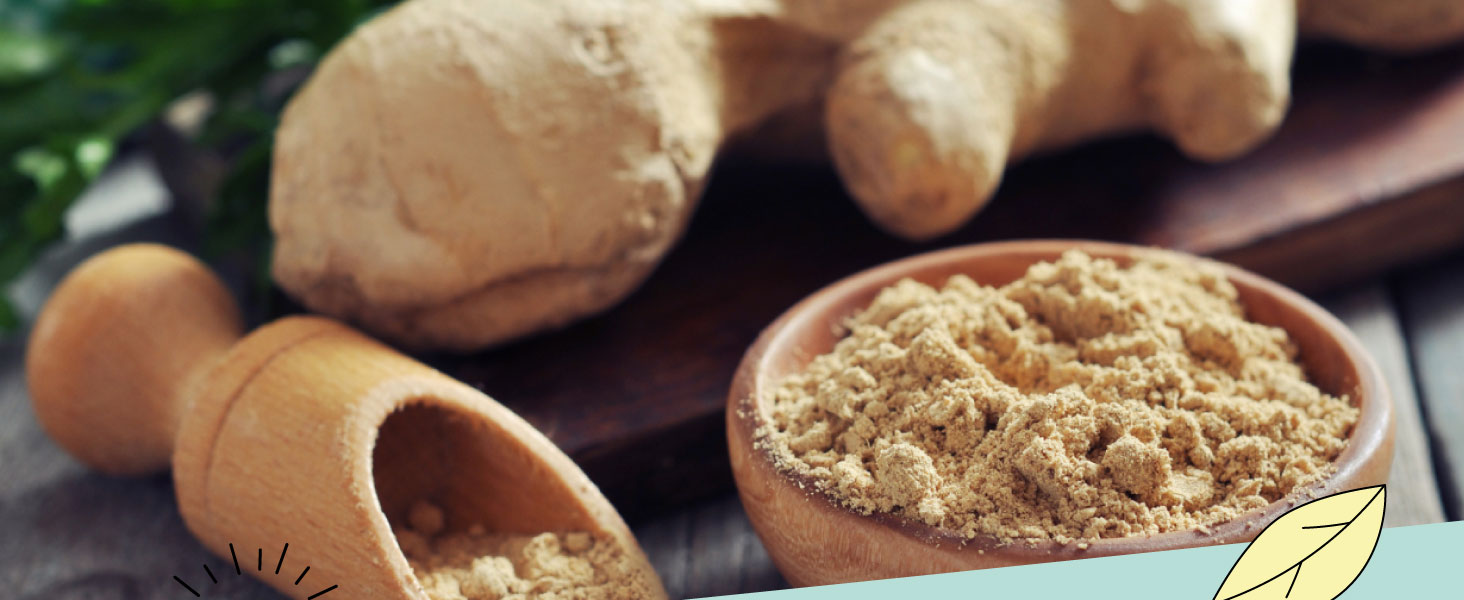 Ginger powder - Alpi Nature