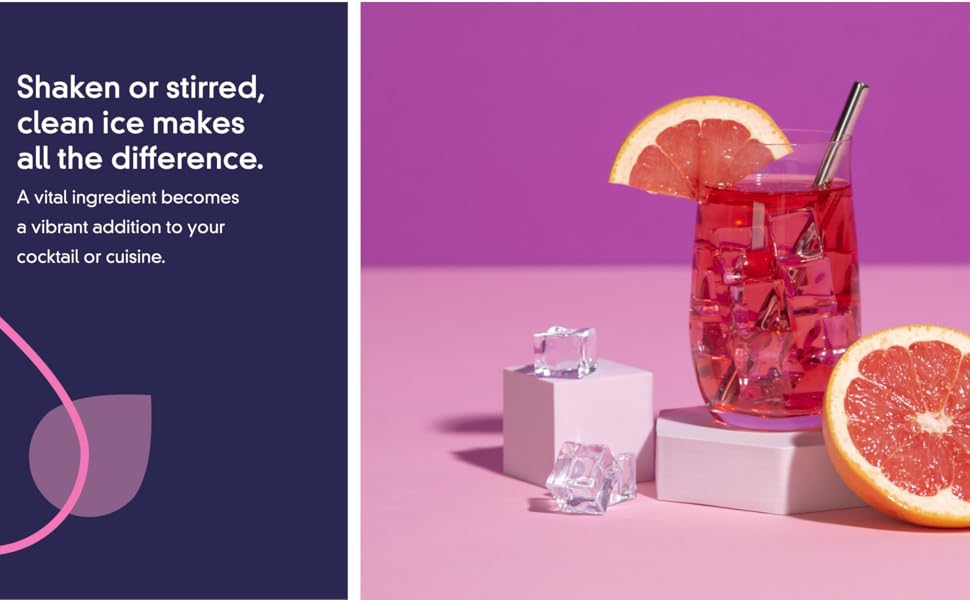 EveryDrop Premium Refrigerator Water Filter Replacement (EDR4RXD1B