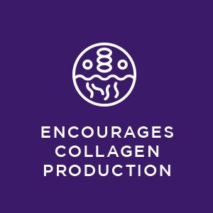 facial skin care products face moisturizer for women skin care products moisturizers for face 