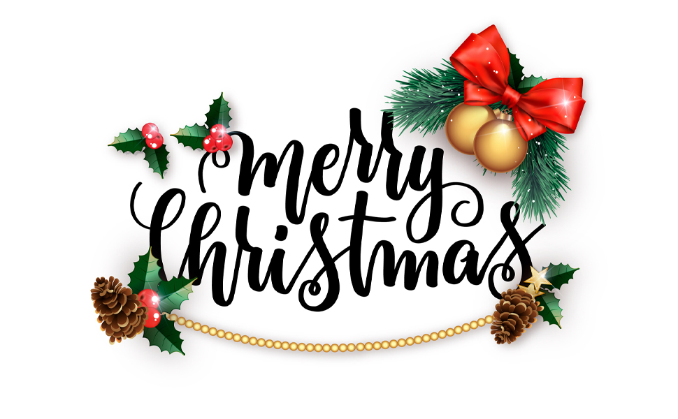 Profully Gutter Clips for Hanging Hooks Outdoor Lights