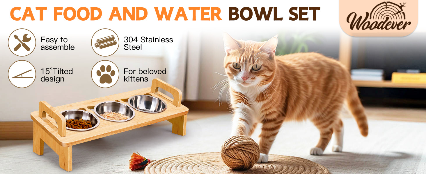 cat bowl